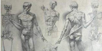 Permalink to:Курс рисунку Permalink to:Курс рисунку